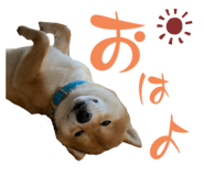645897230
