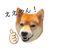 645897236