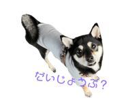 645897240