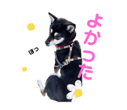 645897242