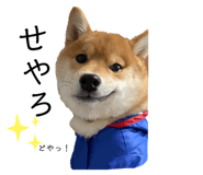 645897245