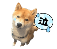 645897250