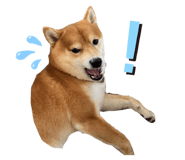 645897255