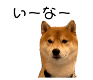 645897257