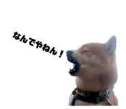 645897264