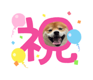 645897265