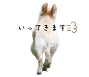 645900752