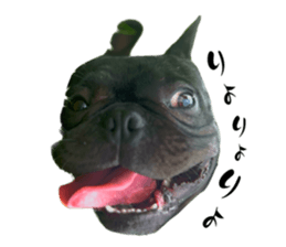645904102