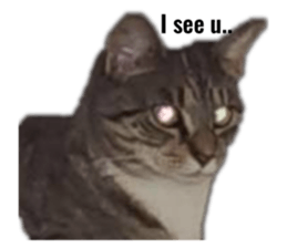 645924387