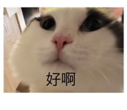 645928503