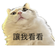 645928513