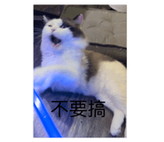 645928520