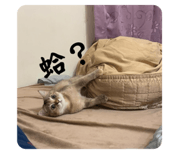 645930577