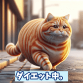 645933748