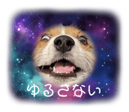 645935305