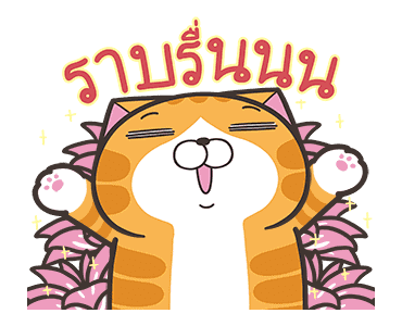เหมียวซ่า : ยิ้มหน่อย รูปที่ 6