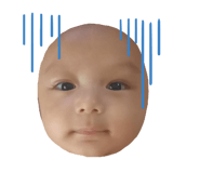 645946602