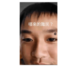 645948445