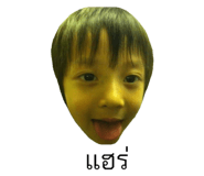 645950854