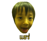 645957118