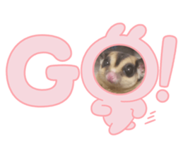 645965044