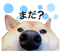 645965441