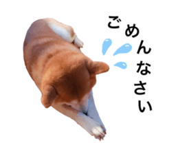 645965443