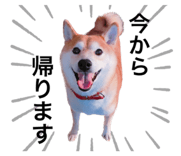 645965445