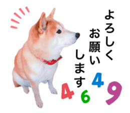 645965446