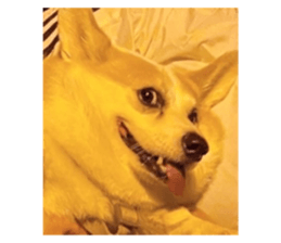 645967927