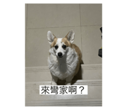 645967930