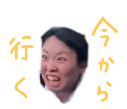 645977750