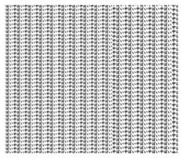 645977944