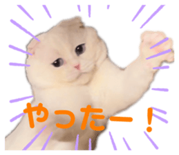 646004436