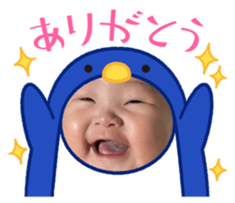 646005302