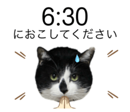 646010163