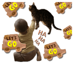 646020893