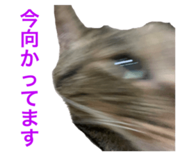 646021666
