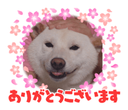 646030523