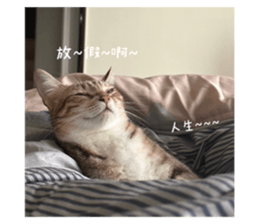 646031440