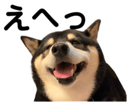 646031910
