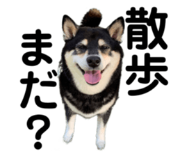 646031915