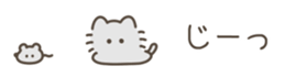 646032504