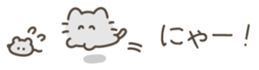 646032505
