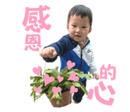 646050354