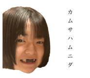 646052704