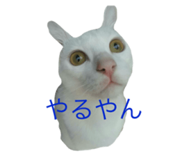 646063798