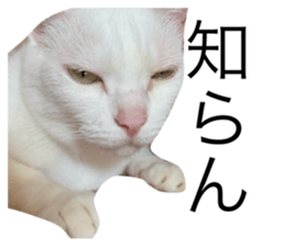 646063799