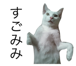 646063800
