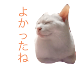 646063801